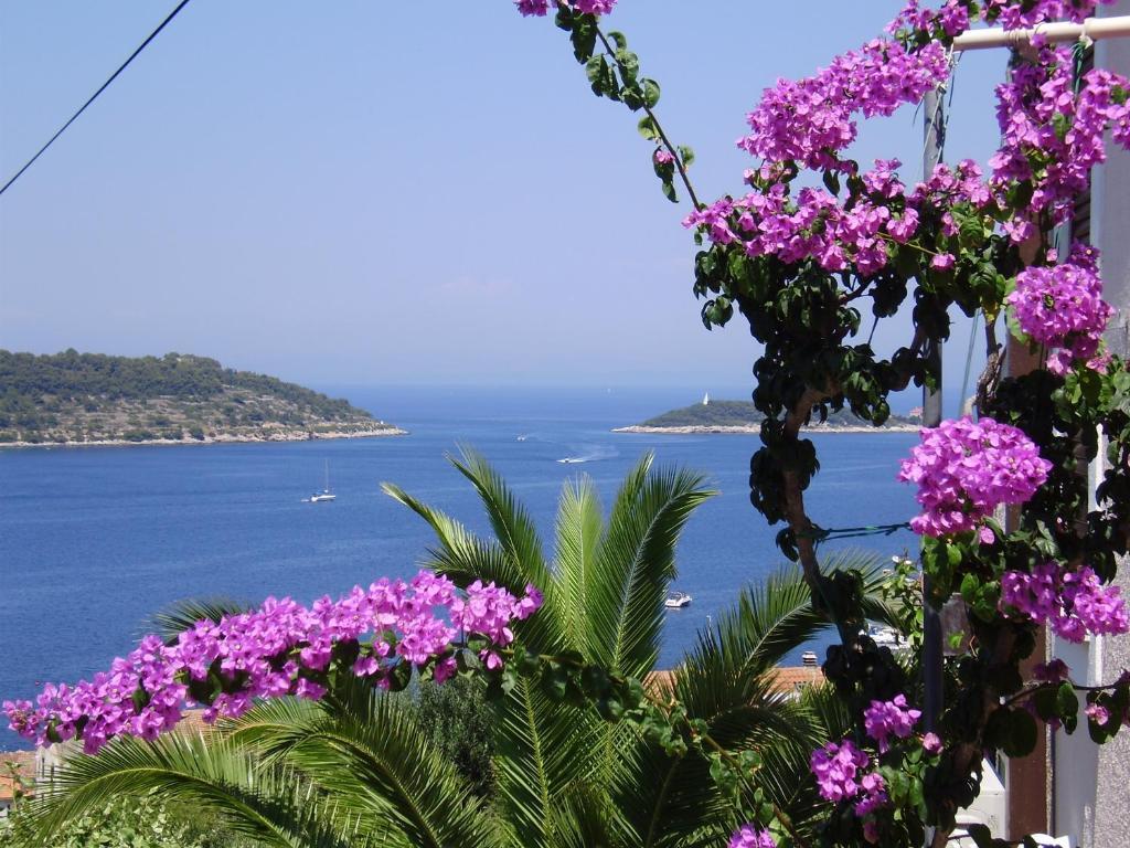 Villa Kate Vis Habitación foto
